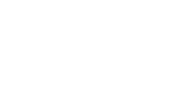 logo datanetwork